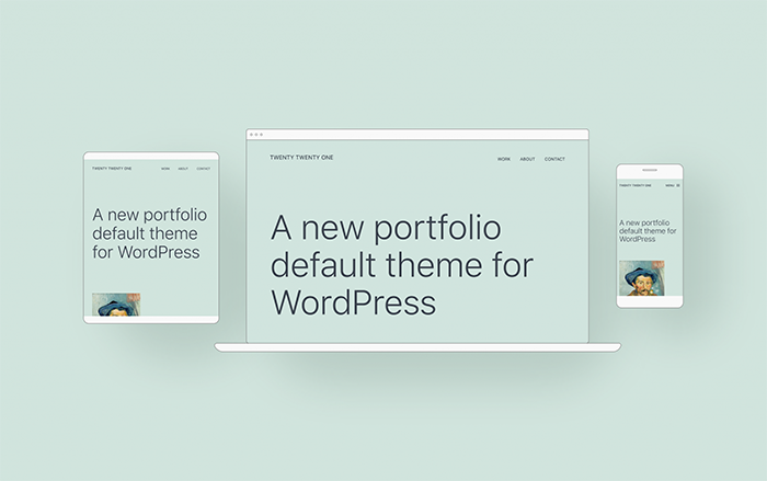 确定Twenty Twenty主题为WordPress 5.6的默认主题