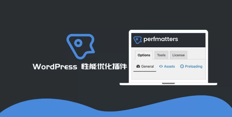 Perfmatters v2.5.0 汉化版 – 轻量级 WordPress 优化插件
