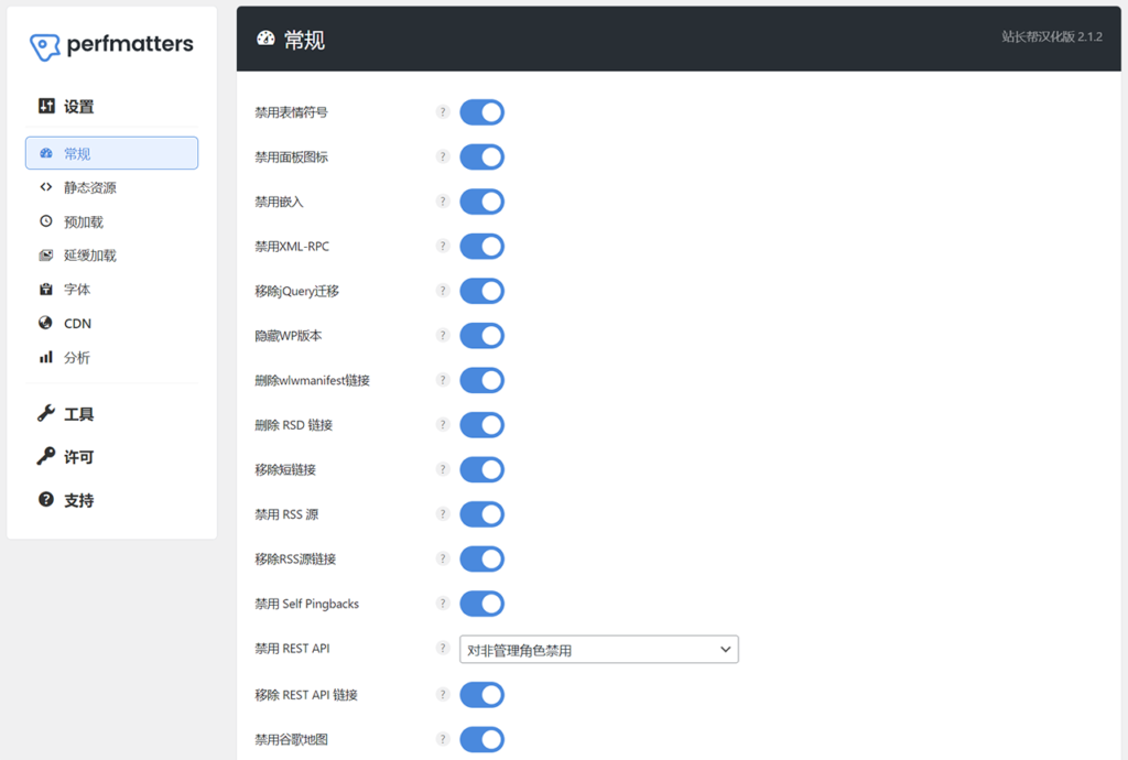 Perfmatters 设置演示 Perfmatters 设置演示