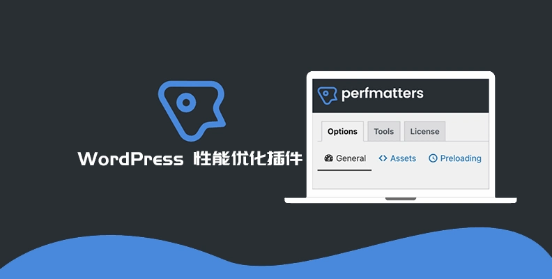 Perfmatters v2.5.0 汉化版 – 轻量级 WordPress 优化插件