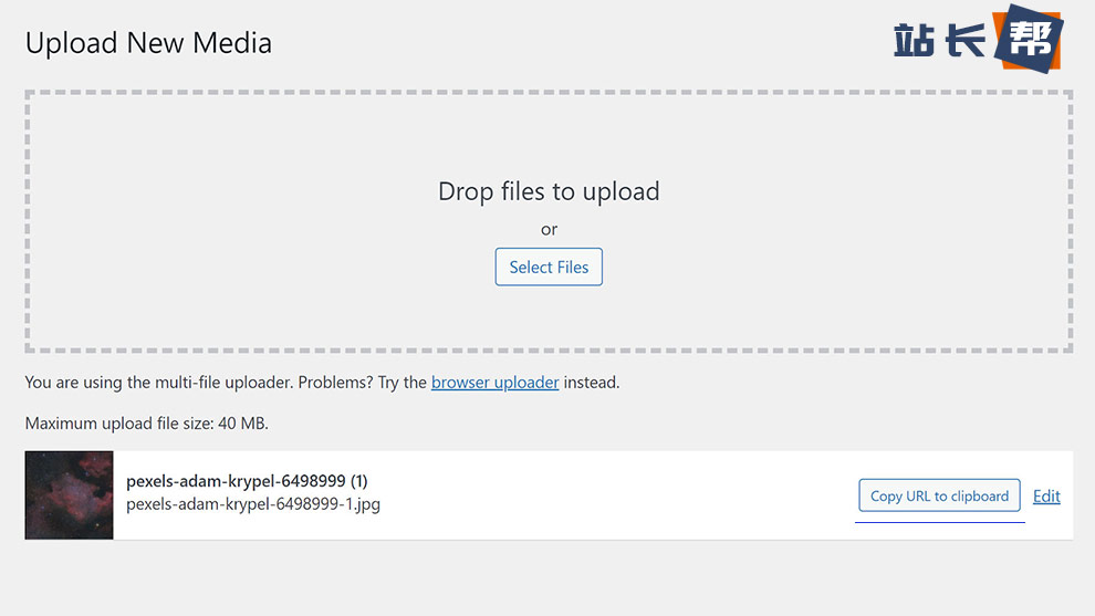 WordPress 5.8 加新媒体屏幕上的将 URL 复制到剪贴板按钮。