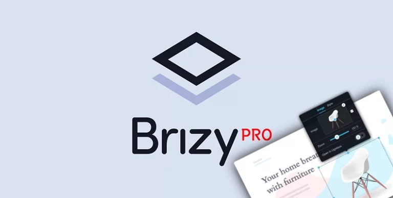 Brizy Pro 中文版