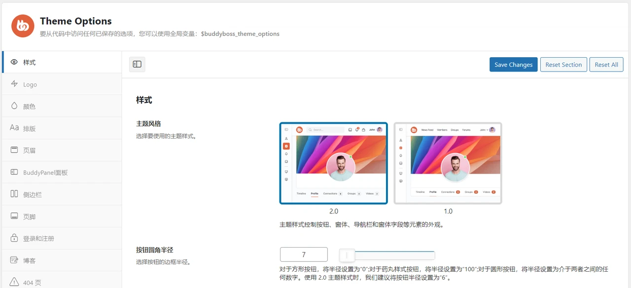 BuddyBoss Theme 主题面板演示