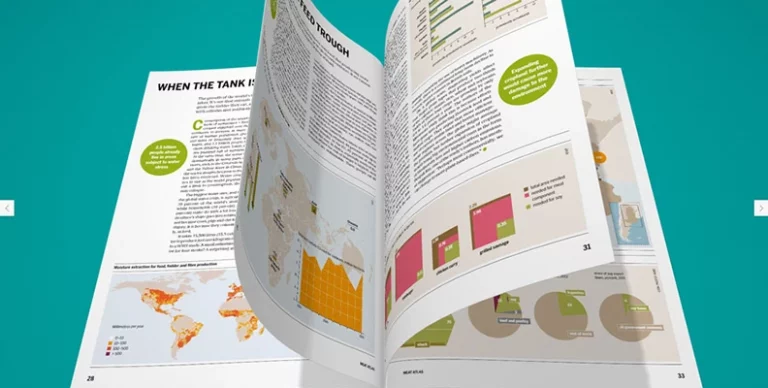 3D FlipBook v1.15.2 汉化版 – 图片/PDF 动画翻页插件