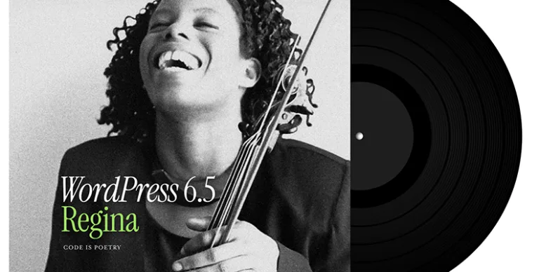 WordPress 6.5：开启网站建设的新篇章